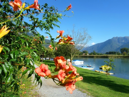 Camping La Riva - camping, relax, summer, beach, bushes, reflection, walk, flowers, path, shore, lake, sky, beautiful, vacation, Como, travel, rest, boats, river, green, Italy, lovelym, pleasant