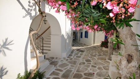 lovely side street in a greek village - cobblestones, travel, flower, streets, greece, stree, alley, flowers, village, stairs, tree