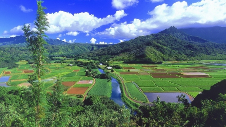 river through fields in an hawaiian valley - mountains, clouds, river, valley, fields