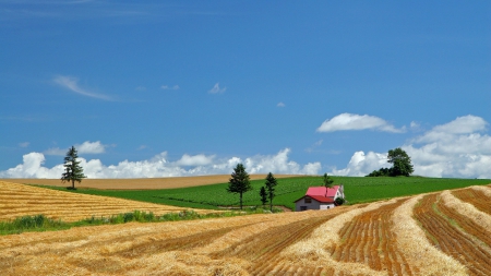 wonderful cultivated fields in japan - sky, house, hill, fields