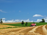 wonderful cultivated fields in japan