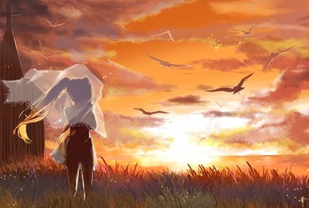 ~Sunset~ - sky, ocean, girl, clouds, anime, sunset, birds