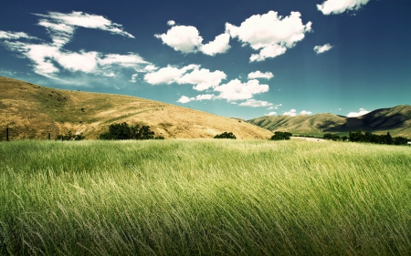 Green Valley - nature, unique, green, valley