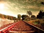 railroad tracks in a bright autumn day