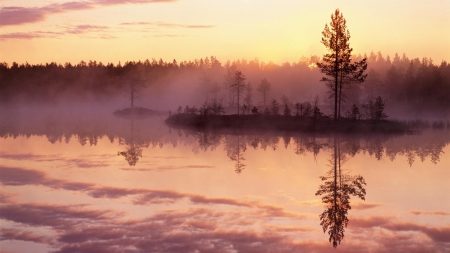 mystical byske river in sweden - morning, trees, mist, river