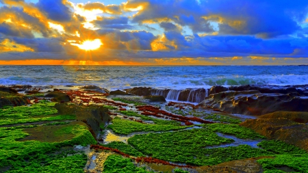 SUNSET HORIZON - scenery, sunset, oregon, sea, usa, landscapes