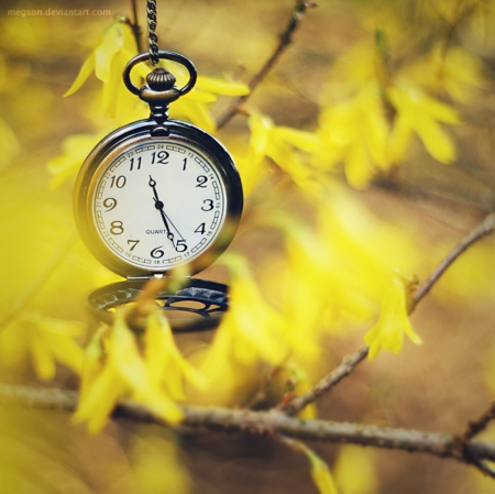 Spring Time - watch, time, yellow, springtime