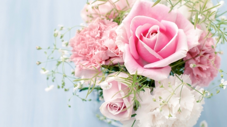 * Tenderness * - flowers, roses, pink roses, bouquet, pink