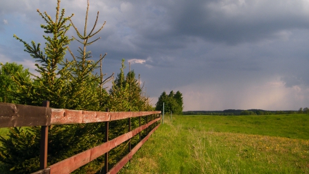 ranch - sky, grass, storm, spring