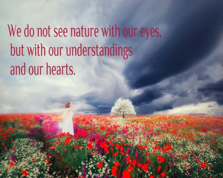 Natures beauty - clouds, fields, quotes, messages, flower, sky