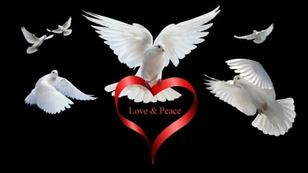 Love and Peace - beauty, doves, art, collage, red, whit, black, bird