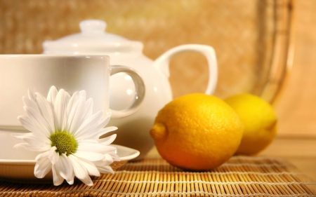 Morning - morning, tea, orange, photo, flower, caffee, cup, lemon