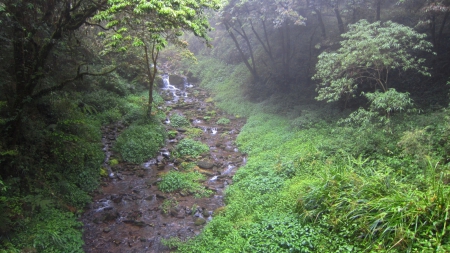 Remote mountains waterfall streams - fog, remote mountains, streams, waterfall