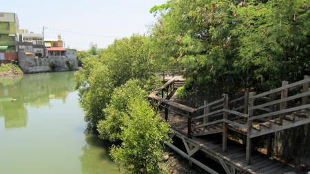 Riverside wooden plank road - wooden plank road, rural, river, house, riverside