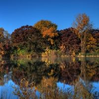 Autumn Pond Egan Minnesota