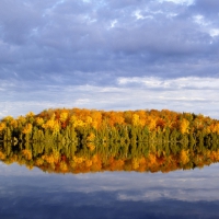 Nine Mile Lake Superior National Forest Minnesota