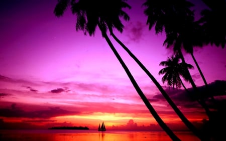 SAILING at DUSK - ocean, silhouette, beach, sailboat, palm, dusk, boat