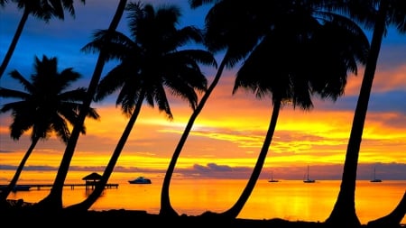 Bora Bora - island, water, boats, trees