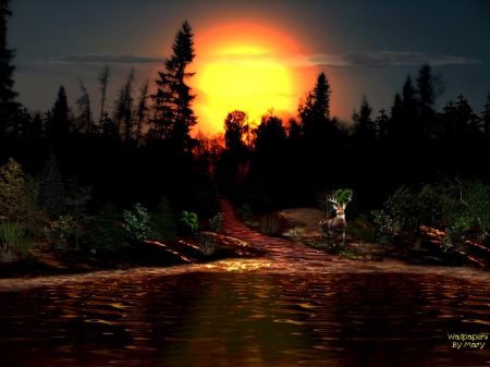 Fire Lake 2048x1536 - Animals, Water, Stag, Nature, Lakes, Deer, Sunsets, Forests