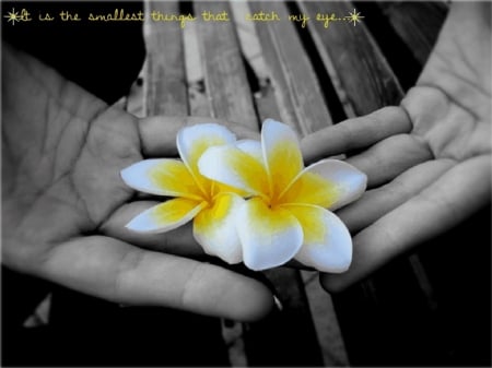 its the little things - hands, awesome, flowers, pretty