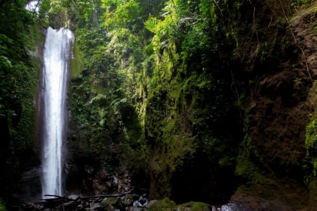 Casaroro Falls, Dumaguete, Philippines - nature, fun, forest, river, waterfall