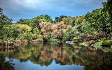 lake - fun, lake, forest, nature