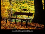 Autumn Bench