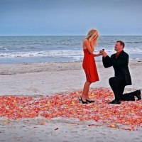 Proposal on the  beach