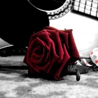 Rose and Guitar