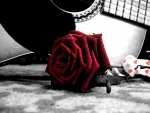 Rose and Guitar