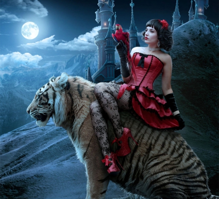 ~Red Girl on a Tiger~ - bird, people, female, dress, photomanipulation, light, stockings, castle, women, abstract, red dress, digital art, models, weird things people wear, tiger, hair, lantern, girls, shoes, fantasy, lady, gloves, animals, big cat