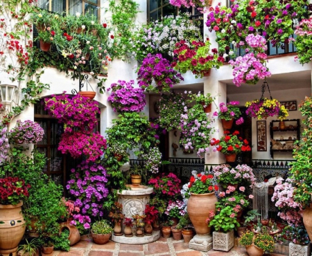 Patio de Flores - flower garden, architecture, patio, house