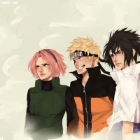 Team 7 returns