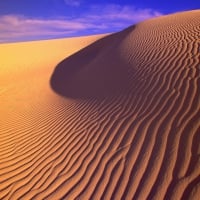 New Mexico Gypsum Sand Dunes