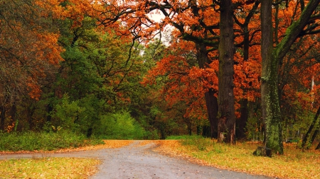 North Carolina Autumn - north carolina autumn, norht carolina landscape, north carolina, north carolina fall, scenic north carolina