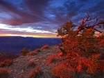 red sunset over canyon