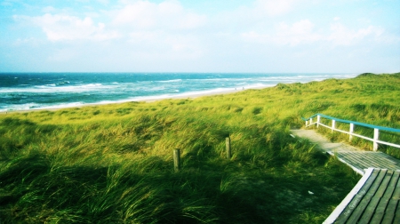 wooden walkway to a grassy beach - beaches, beach, wallpaper, wind, oceans, nature, walkway, grass, sea, new