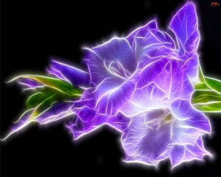 3d flowers - abstract, flowers, 3d, background