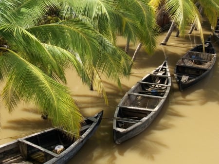 palmeras, barcos - ship, sand, palm, sea