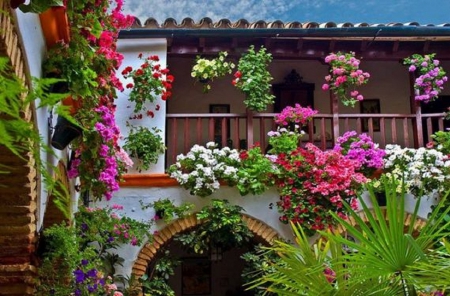 Cordoba's Secret Gardens - architecture, patio, flowers, house