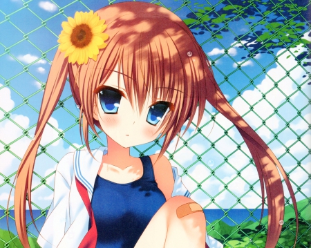 By the Fence - anime, female, long hair, hd, sky, blue eyes, anime girl, swimsuit, twintails, hot, girl, brown hair, fence, flower, cloud, cute, sexy