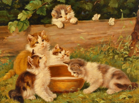 Playing kittens - cute, beautiful, kittens, adorable, grass, cats, yard, nature, kitties, sweet, nioce, wood, art, pets, playing, home, friends, lovely, house, painting, fluffy