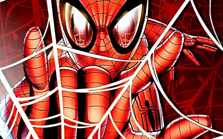 SPIDER-MAN - comics, hero, man, spider