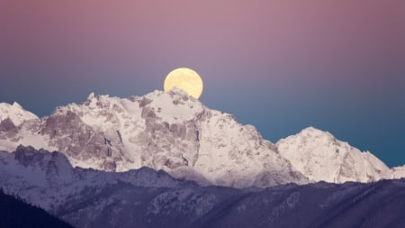 moon rise over majestic mountain - moon, winter, forest, mountain