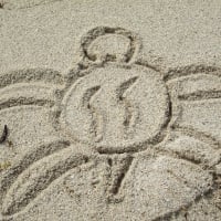 Sand Turtle