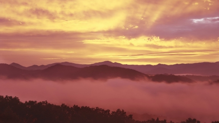 Tennessee Sunrise - tennessee sunrise, scenic tennessee, tennessee sunset, tennessee landscape, tennessee