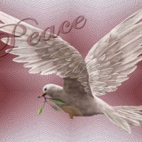 Dove of peace