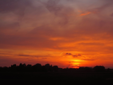 Suns@t - trees, photography, sun, sunset, nature, view, cloudy, beautiful, clouds, red, sunsets, tree