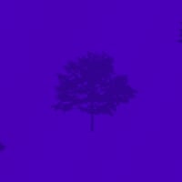 Purple Three Tree Wall