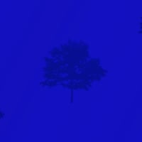 Blue Three Tree Wall